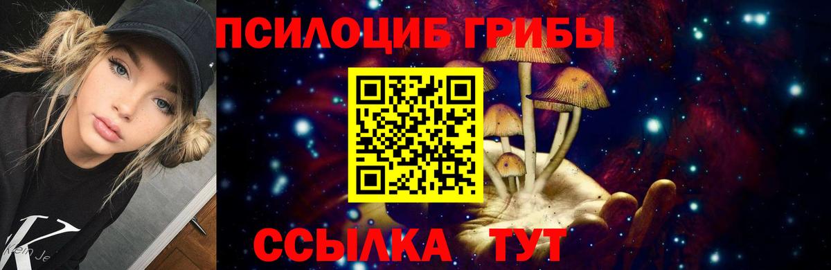 Вязники  Псилоцибиновые грибы ЛСД  как найти наркотики  Псилоцибиновые грибы ЛСД  Вход с VPN 